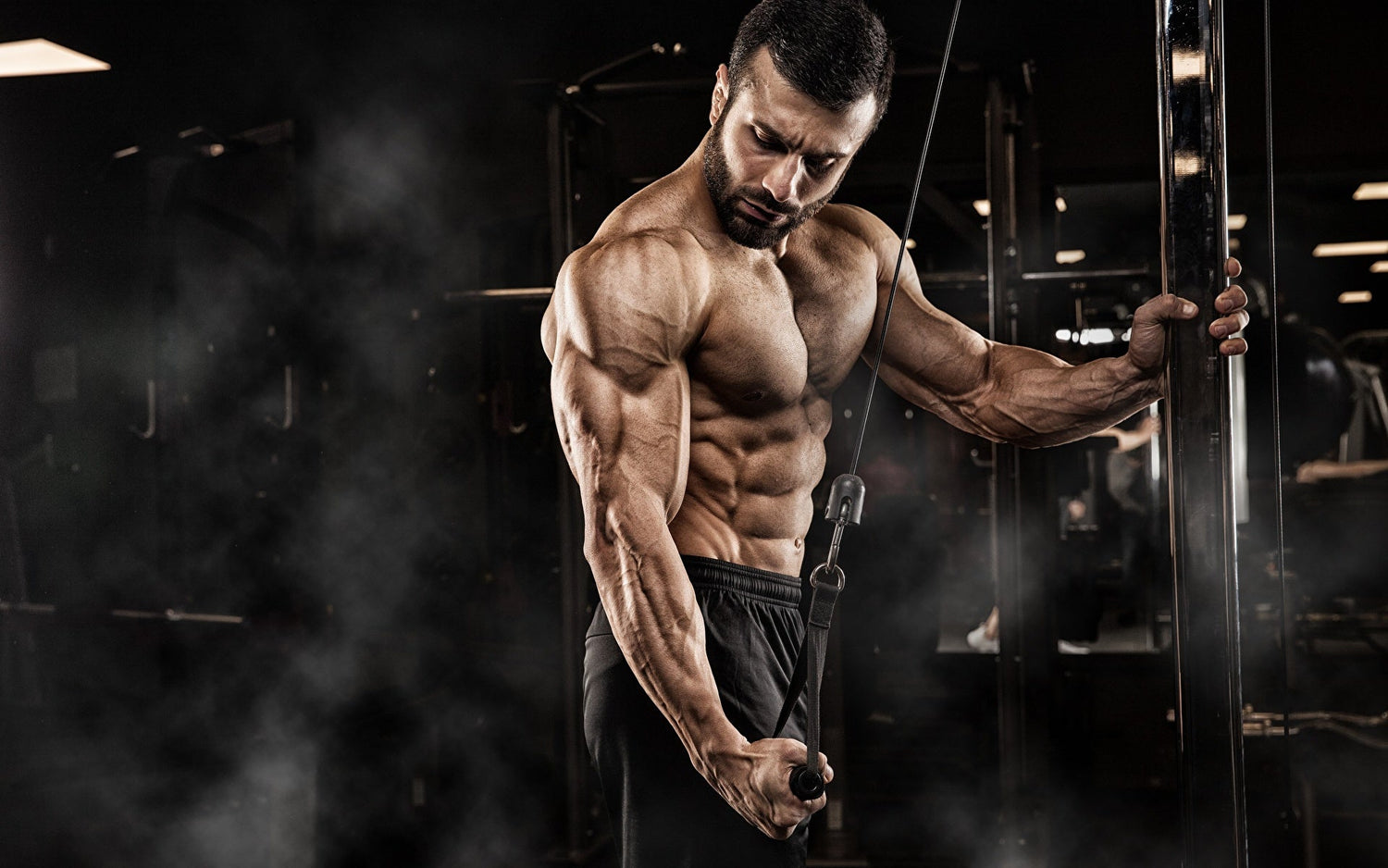health & fitness collection