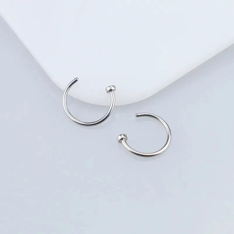 2/6 Stück Fake-Nasenringe für Damen, 316L Edelstahl Lippenringe Labret-Ring Nasenloch Hoop Piercing Ohrstecker Nasenpiercing Schmuck