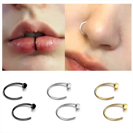 2/6 Stück Fake-Nasenringe für Damen, 316L Edelstahl Lippenringe Labret-Ring Nasenloch Hoop Piercing Ohrstecker Nasenpiercing Schmuck